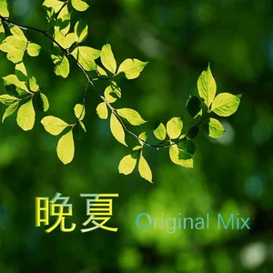 晚夏直播